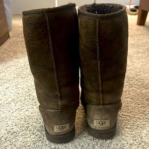 Chocolate Brown Uggs
